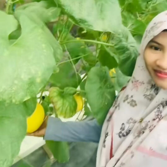 Testimonial profile photo of Mdm Syahrum Zakaria, owner of SZ Agrofarm and a commercial melon grower, who uses QarboGrow to achieve faster crop growth, fruit that is 0.5kg to 1kg heavier, and sweeter melons.