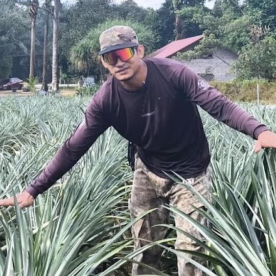 Profile photo of Mr. Aizat Halim, a commercial pineapple grower and CEO of Brotani Ventures, who partnered with Qarbotech to achieve sweeter fruit (higher BRIX levels) and a significantly shortened 2-month harvest cycle.