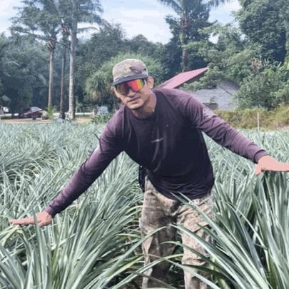 Mr. Aizat Halim, Pineapple Grower and Brotani Ventures CEO Profile photo of Mr. Aizat Halim, a commercial pineapple grower and CEO of Brotani Ventures, who partnered with Qarbotech to achieve sweeter fruit (higher BRIX levels) and a significantly shortened 2-month harvest cycle.